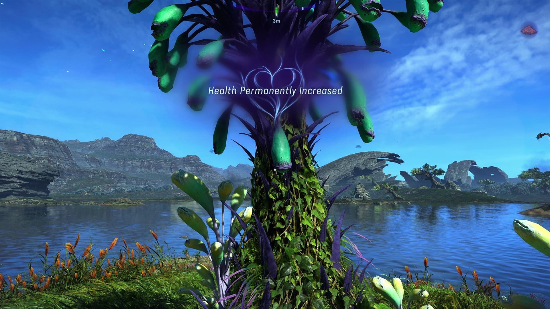 In de open wereld kun je Bellsprig-planten aanraken om je health- en energiebalk volledig aan te vullen