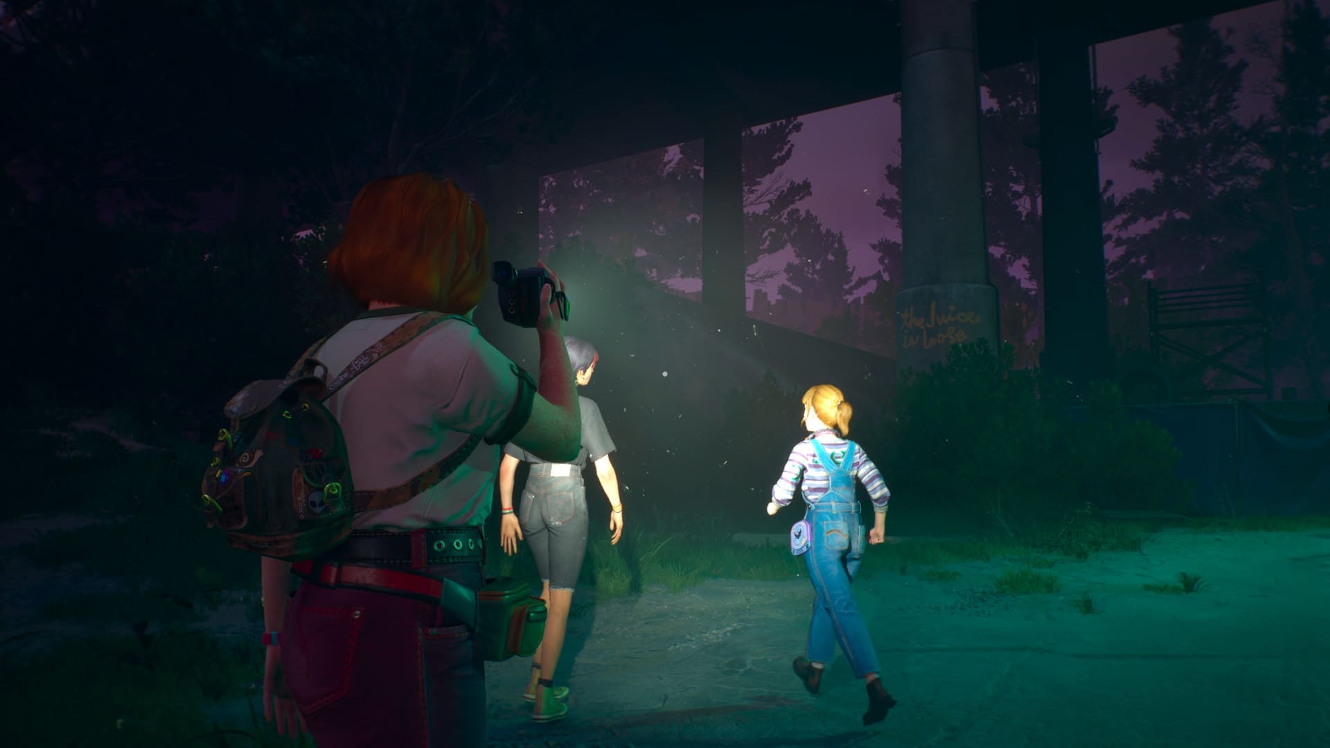 Lost Records Bloom & Rage Tape 1 “Bloom” review screenshot 3 Swann VHS camcorder