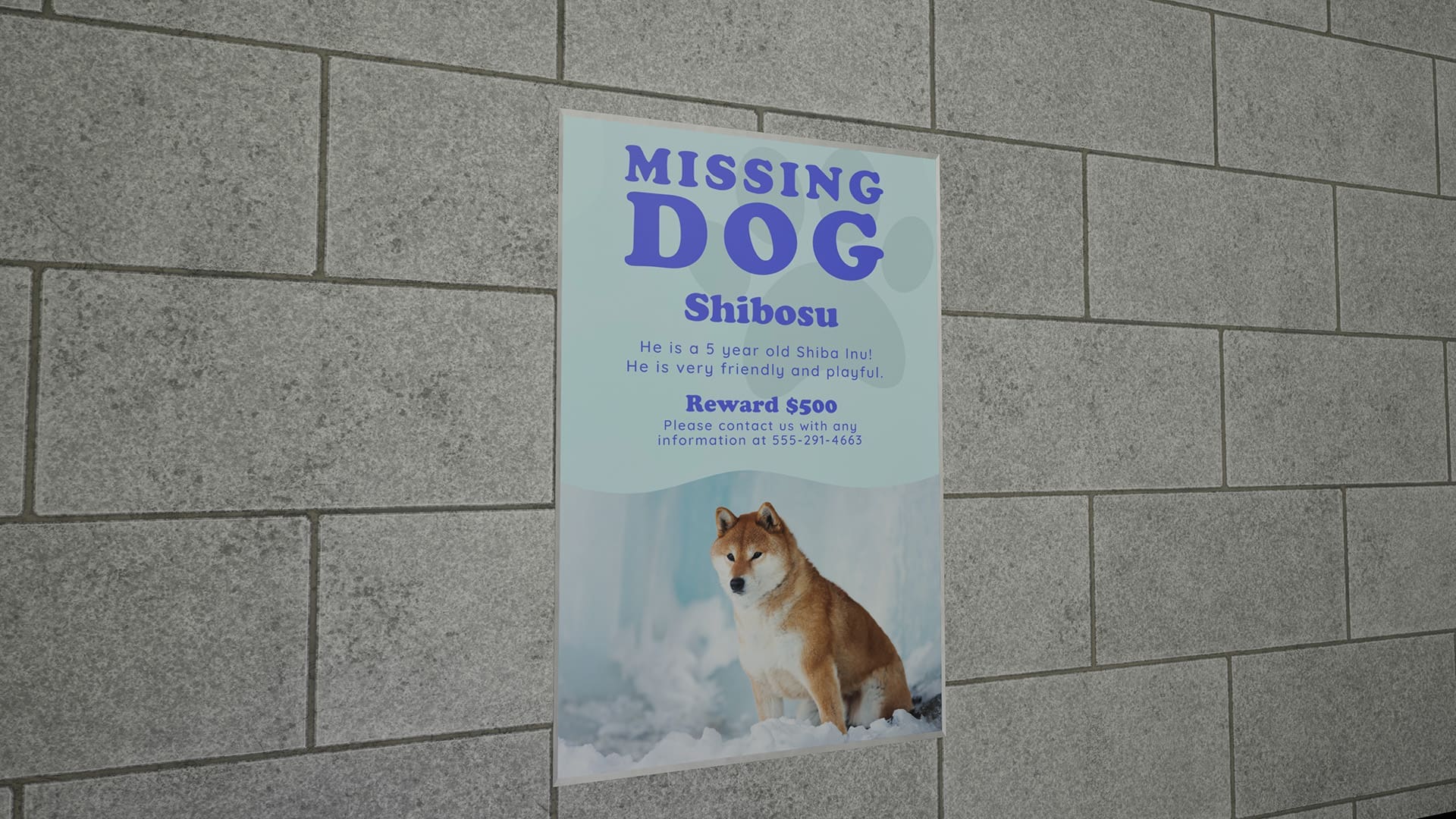 Een van deze objecten is een poster over een vermiste hond, waarvan alle details na een half uur in me hoofd zaten opgeslagen